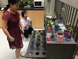 Two women examining potted plants on a CNC-built growing station rack