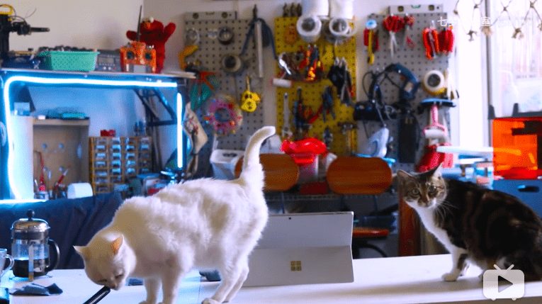 Two cats walking across a cluttered makerspace workbench